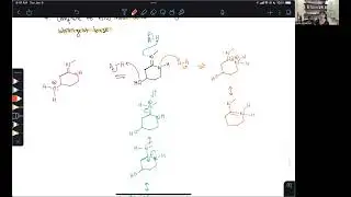 Most Basic Atom