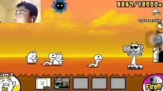 Battle Cats Intro: Nerd cat / Hacker Cat