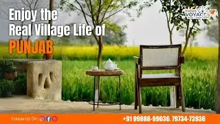 Punjab Village Farm, the best farm stay near Amritsar | Enjoy the real village life of Punjab