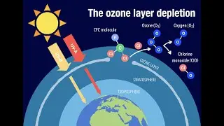 Protecting the Ozone Layer with a Global Effort (5 Minutes)