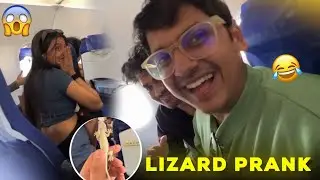 Did Lizard Prank In Flight 🦎 *SHE SCREAMED* 🤣
