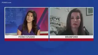 Raising awareness regarding animal abandoment
