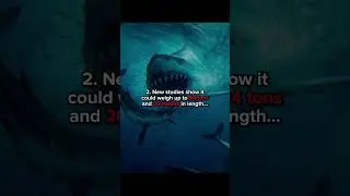 Scary Facts About Megalodon 💀