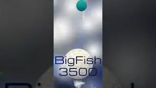 Big fish is getting bigger - space.io gameplay