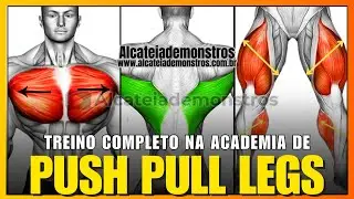 PUSH PULL LEGS WORKOUT: THE AMERICAN METHOD TO BUILD MUSCLE MASS FAST IN THE GYM!