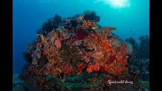 raja Halmahera 2025 december