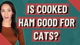 Is cooked ham good for cats?