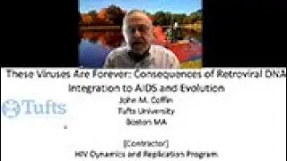These Viruses Are Forever: Consequences of Retroviral DNA Integration to Aids and Evolution