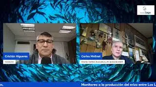 U. Austral entrega informe sobre salud del erizo en la Zona Contigua