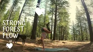 Strong Forest Flow VINYASA