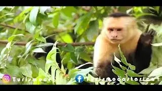 Eco Adventure Park Tours - Jaco, Costa Rica.