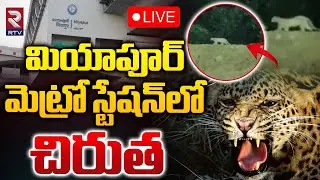 మెట్రో స్టేషన్‌లో చిరుత 🔴LIVE : Leopard at Miyapur Metro Station | RTV