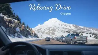 SCENIC THERAPY 🚗🌲: Road to the Mountains 