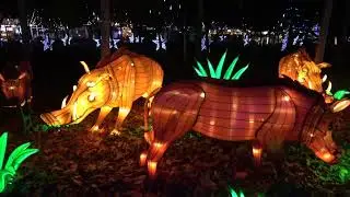 Mágicas Navidades de Torrejón de Ardoz 2024  2: 