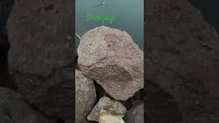 Strek di pagi hari spot mancing sultan