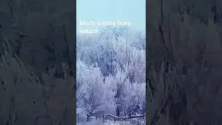 On the road-misty poetry from nature #shorts # #pets #films #landscape #weather  #like #sub #share