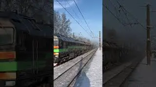 Чёрная сплотка воюще пролетает лесную платформу окутанную снегом