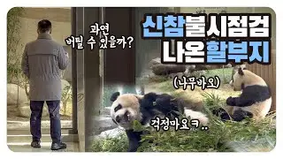 신참 불시점검 나온 강할부지👀루후 앞, 나무바오들의 운명은?