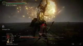 Beating Radagon everyday until FromSoftware announces a new game Day 36