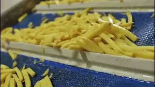 POTATO PROCESSING COMPANIES | POTATO PROCESSING MACHINERY MANUFACTURING | INDUSTRIAL MACHINES
