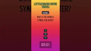 Little Brain Bites: Quick Trivia Delights