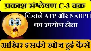 What is C-3 Cycle | C-3 Cycle Kya Hota Hai | C-3 Cycle Me Kitne ATP or NADPH Use Hote Hai | C-3 चक्र