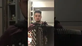 Bugari Armando cassotto