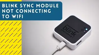 Модуль Blink не подключается к Wi-Fi: как исправить