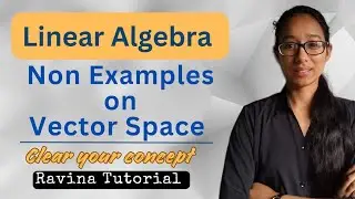 Non Examples of Vector Space | Linear Algebra | Vector Space