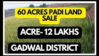 60 Acres padi land sale Acre- 12 lakhs clear title Gadwal district Telangana state