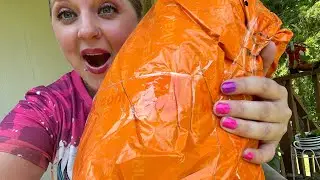 GIANT TEMU HAUL 🦋 A Little bit of Everything!!! 🔥