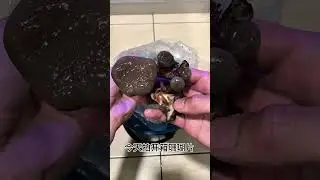 Being a aquarist day 2 (new marine coral unboxing) GET A FISH#marinefish #大家好我是阿杰#saltwateraquarium