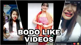 Bodo Likee Videos Part ||6