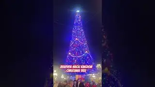 Magic Kingdom - Beautiful Christmas Tree, all Lite Up! #christmastree #christmas #disney