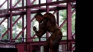 Markus Hoppe - Competitor No 269 - Final - Over 100kg - Arnold Classic Amateur Europe 2012