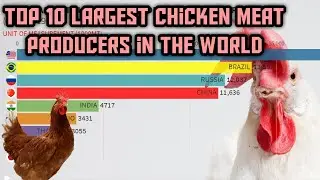 Top 10 Largest Chicken Meat Producers In The World