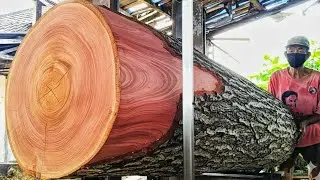 The Eternal Charm of MahoganyProduced into premium-quality boards