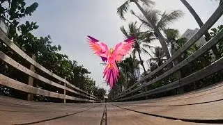 BANKEWITZ -  Where 2 Go (feat. Leon Heidrich)