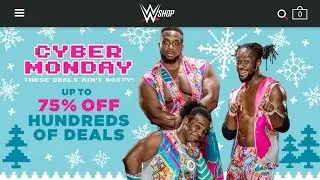 Cyber Monday Sale 2016 (WWE Mattel Figures & Accessories)