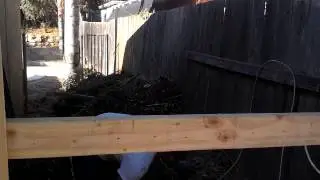 Clean Green Hauling  greenery removal san diego