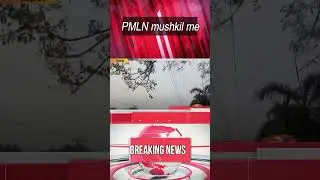 𝗣𝘂𝗻𝗷𝗮𝗯 𝗦𝗺𝗼𝗴 𝗖𝗿𝗶𝘀𝗶𝘀: Latest Weather Updates & PMLN's Troubles | Breaking News