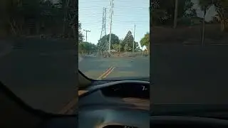 oh deer! no deer run too fast 😉