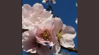 Spring Inspiration