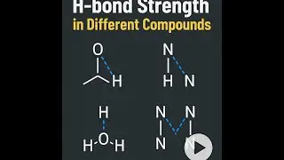 👉 Which Molecule Has the Strongest Hydrogen Bond? | H Bond Strength Compared | JEE NEET CBSE Short