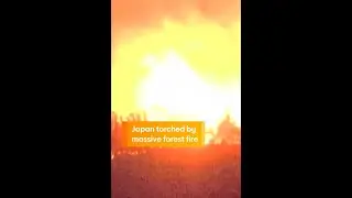 Japan Torched by Massive Forest Fire