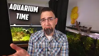 150 Gallon Aquascape