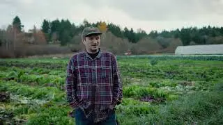From Field to Plate: Growing Radicchio at Square Root Farm