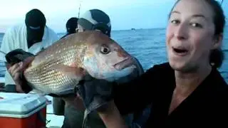 Snapper caught off whangamata 