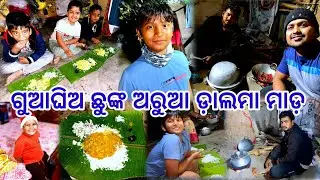 ଅରୁଆ ଡ଼ାଲମା ଗୁଆ ଘିଅରେ ଛୁଙ୍କ ନଟିଆ ଟୁଙ୍ଗି ରେ ଭୋଜି 