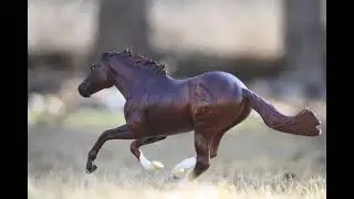 Breyer horse photography spring 2021
